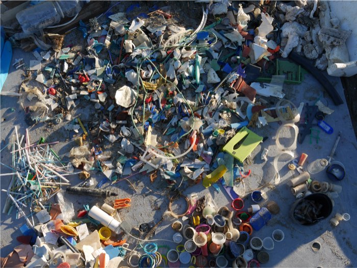 Sorted beach litter samples from the first sampling at Bocca di Serchio, Tuscany
