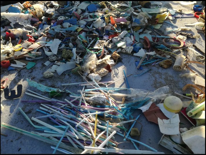 Un échantillon de déchets plastiques triés collectés à Bocca di Serchio